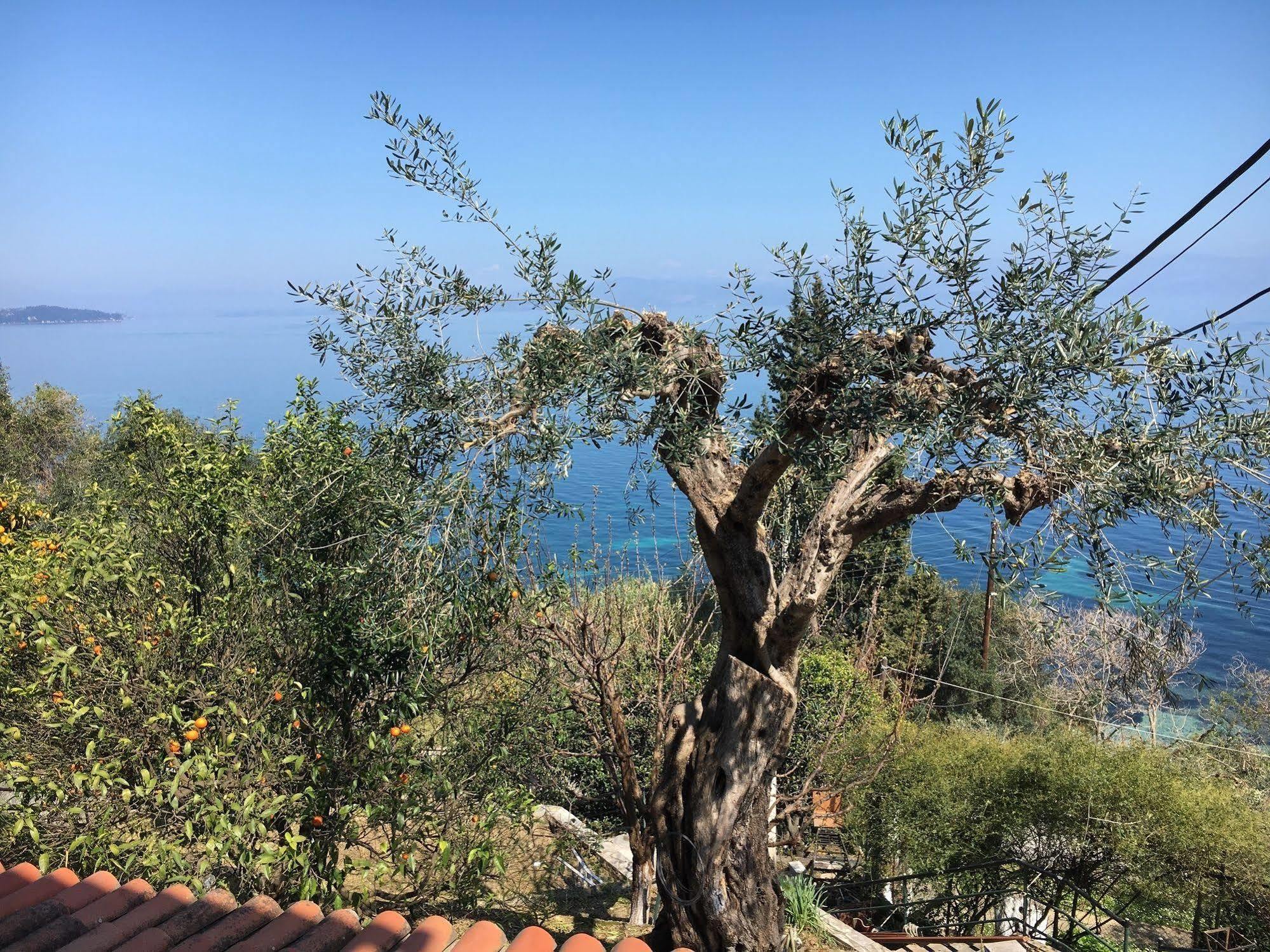 Casa Dei Venti Otel Benitses  Dış mekan fotoğraf
